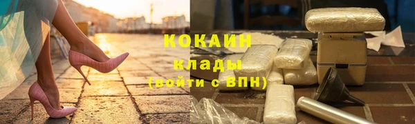 прущие грибы Армянск