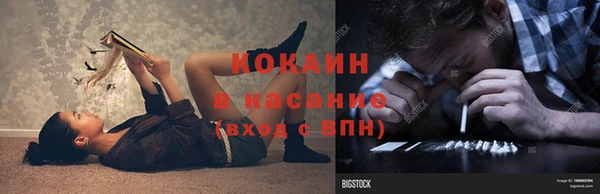 прущие грибы Армянск