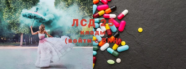 прущие грибы Армянск