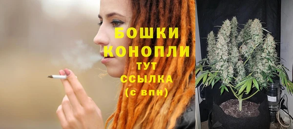 дурь Арсеньев