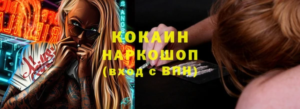 прущие грибы Армянск